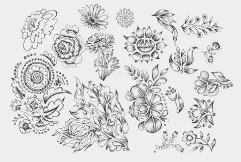 Set of cute hand drawn black ink flowers and herbs, plants. Stock-Illustration