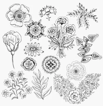 Set of cute hand drawn black ink flowers and herbs, plants. Stock Illustration