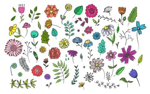 Set of cute hand drawn colorful flowers and herbs Stock Illustration