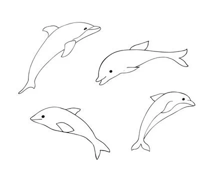 Set of cute hand-drawn dolphins in different poses. Minimalistic black line.. Stock Illustration