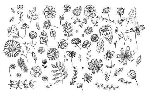 Set of cute hand drawn ink flowers and herbs Stock Illustration
