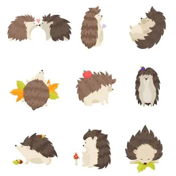 Set of cute hedgehogs in different poses and various emotions on a white Stock Illustration