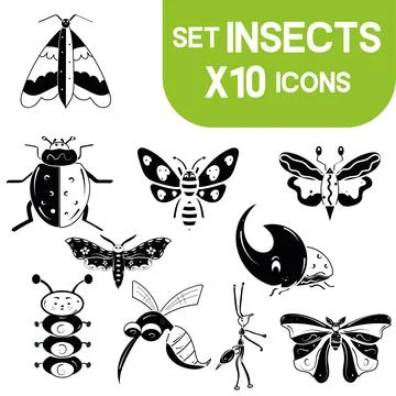 Set of cute insect sketch characters Vector Stock Illustration