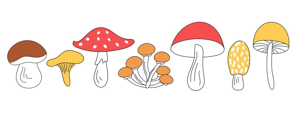 Set of cute mushrooms in vector doodle style, isolated. Stock Illustration