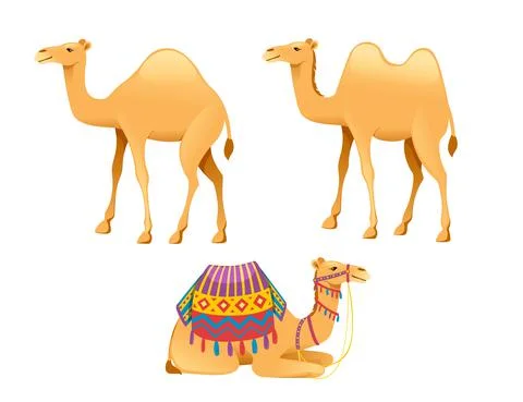 Set of cute one hump camel with bridle and saddle cartoon animal design flat Stock Illustration
