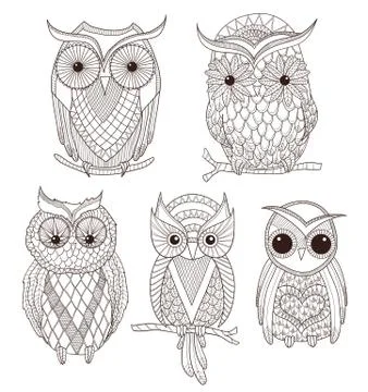 Set of cute owls. Stock Illustration