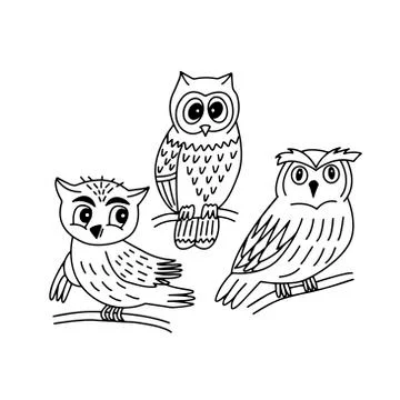 Set of cute owls in vector graphics on a white background. For making prints on Stock Illustration