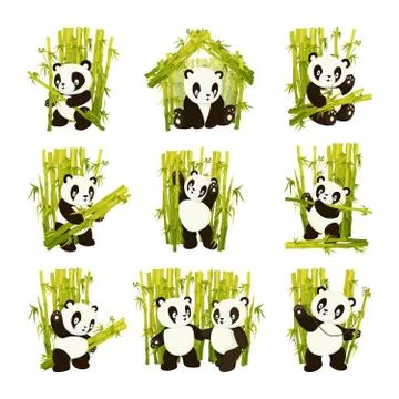 Set of cute panda bear gathering bamboo stems flat vector isolated illustration Иллюстрация