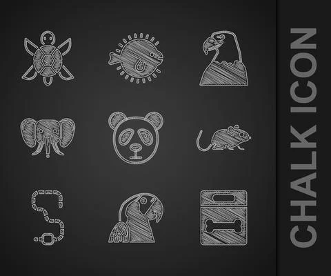 Set Cute panda face, Macaw parrot, Dog bone, Rat, Worm, Elephant, Eagle head and 스톡 일러스트
