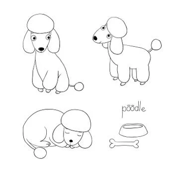 Set of cute poodle illustration in different poses Stock Illustration