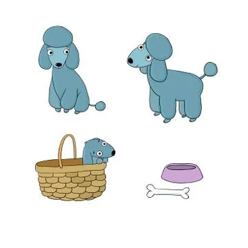 Set of cute poodle illustration in different poses Stock Illustration