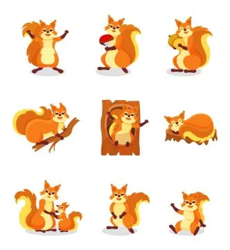 Set of cute red squirrel in different actions. Small forest rodent. Wild animal Illustrazione stock