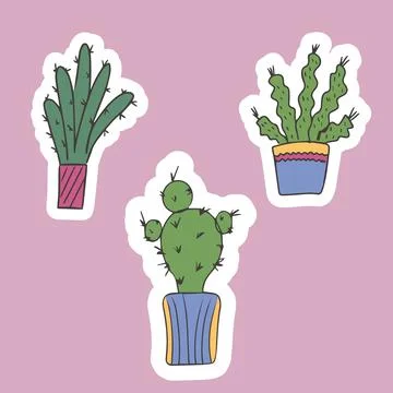 Set of cute stickers of cacti in pots. Indoor plants. For the design of car.. Stock Illustration