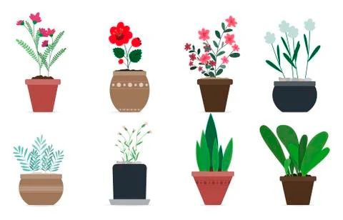 Set of cute vector flower pots for home decor. Flat vector illustration in Stock Illustration