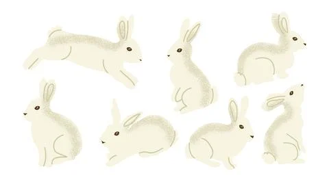 Set of cute white rabbits in different poses including sitting, jumping and.. Stock Illustration