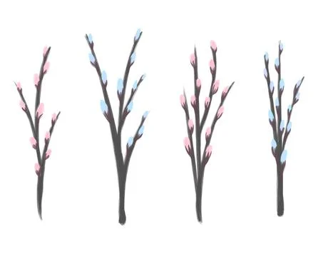 Set of cute willow twigs sketch isolated on a white background. Easter willow. Stock Illustration