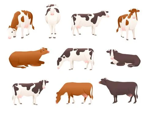 Set of dairy cattle simmental and ayrshire cow spotted domestic mammal animal Stock Illustration