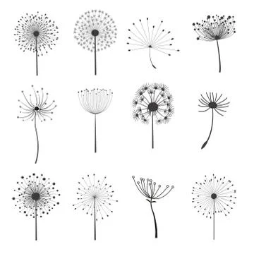 Set of dandelion flower elements Stock Illustration