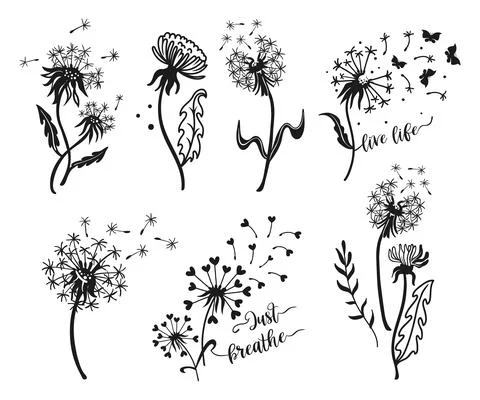 Set of Dandelion silhouettes. Illustrazione stock