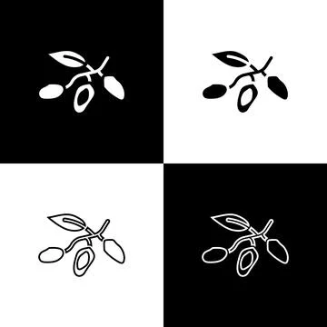 Set Date fruit icon isolated on black and white background. Vector 스톡 일러스트