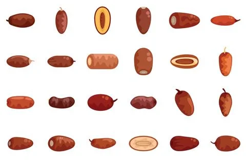 Set of dates fruit icons showing different sorts of dates Stock Illustration