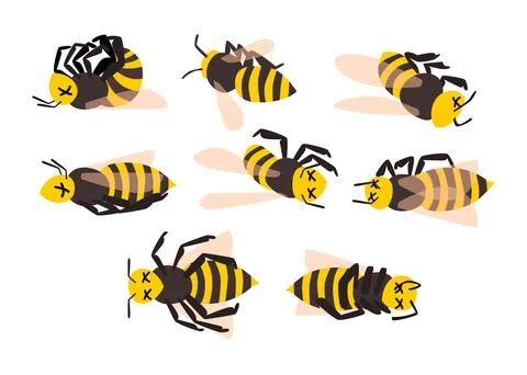 Set of dead bee collection, dying bee cartoon, Corpse of insect, poaching a.. Stock Illustration
