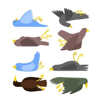 Set of dead bird collection, dying bird cartoon, Corpse of birds lying, poa.. Stock Illustration