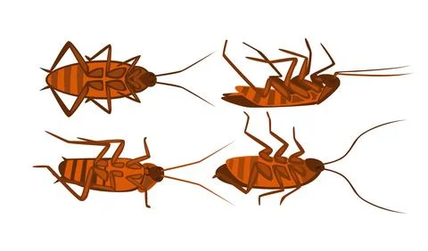 Set of dead cockroach collection, dying cockroach cartoon, Corpse of insect.. Stock-Illustration