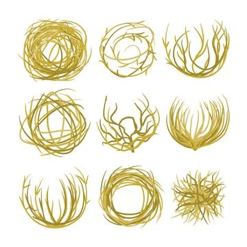 Set of dead grass Texas dead dry tumbleweed plant collection, Singe western.. 스톡 일러스트