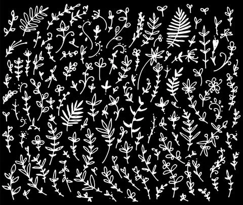 A set of deciduous branches drawn by hand . Vector hand-drawn illustration in a Stock Illustration