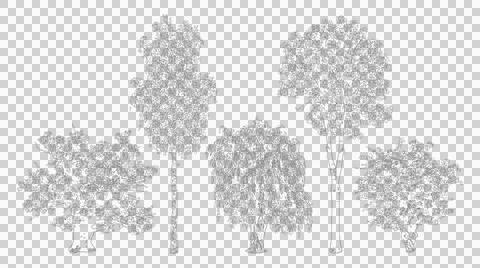 Set of deciduous trees in elevation view isolated on transparent background Stock Illustration