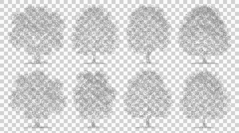 Set of deciduous trees elevation view. Isolated botanical sketches for arch.. Stock Illustration