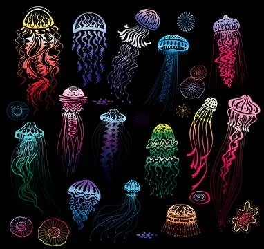Set of decorated colored Jellyfishes Stock Illustration