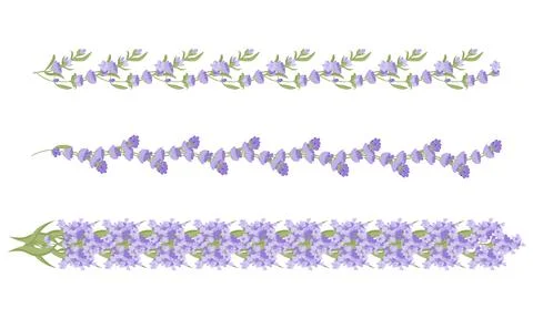 Set of decorative borders of lavender flowers for your design. Vector Stock Illustration