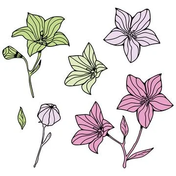 Set of decorative branches and flowers and leaves on a white background. Stock Illustration