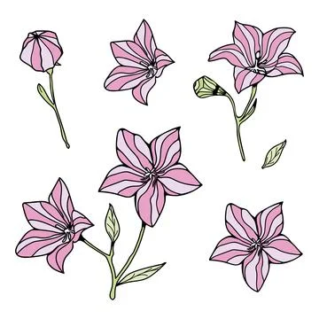 Set of decorative branches and flowers and leaves on a white background. Stock Illustration