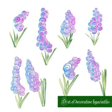 Set of decorative color elements, hyacinth and leaves Stock Illustration