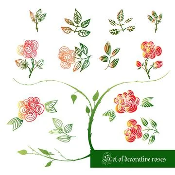 Set of decorative color elements, roses and leaves Stock Illustration