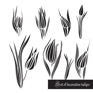 Set of decorative elements, tulips and leaves, black and white Stock Illustration