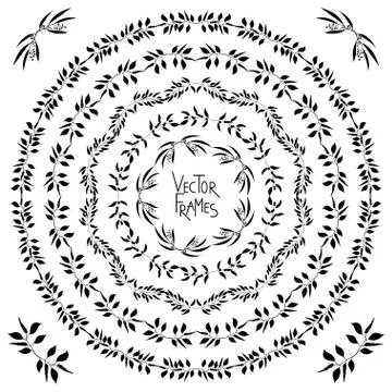Set of decorative floral round frames and corner 스톡 일러스트