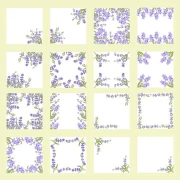 A set of decorative frames of lavender flowers for your design. Vector Stock Illustration