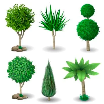 Set of decorative plants Stock Illustration