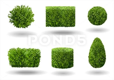 Set of decorative plants Stock Illustration
