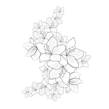Set of a decorative stylized azalea flower isolated on white background Illustrazione stock