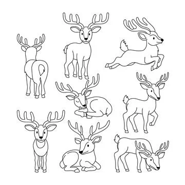 Set of deer doodle collection, deer outline coloring page or book animals f.. Stock-Illustration
