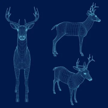 Set of deer frames made of black lines isolated on dark background. Side, front Stock-Illustration