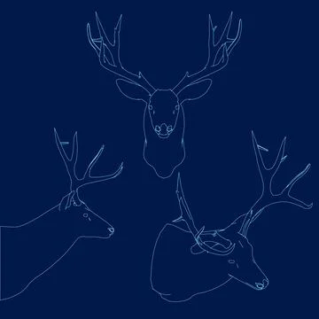 Set deer head outline. Vector illustration. Side, front, isometric view Stock Illustration