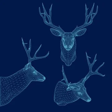 Set deer head wireframe. Vector illustration. Side, front, isometric view. 3D Stock Illustration