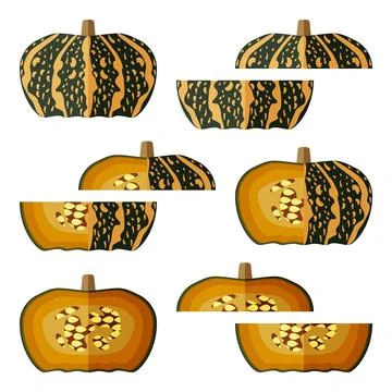 Set of Delica Winter Squash Flat design 스톡 일러스트
