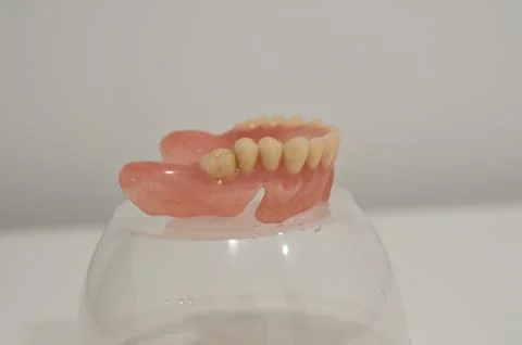 A set of dental dentures on white background Stock Photos
